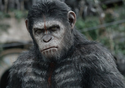 Dawn-of-the-Planet-of-the-Apes-movie-2014-image